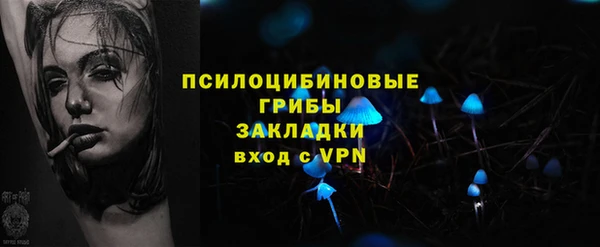 метадон Елизово
