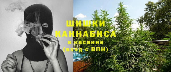 Альфа ПВП Ельня