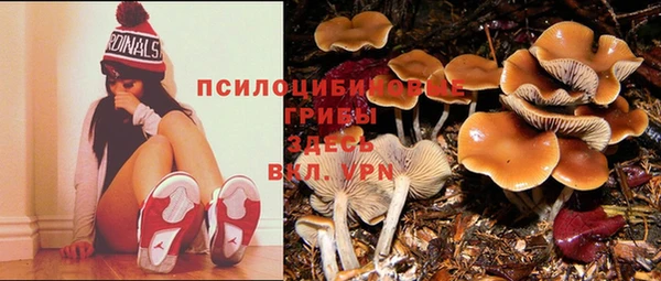 mdma Заволжск