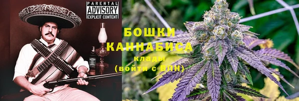 Альфа ПВП Ельня