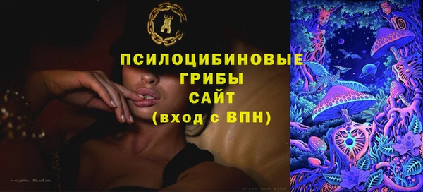 метадон Елизово