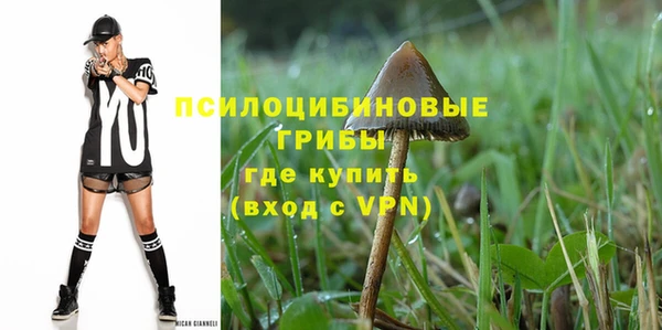 Альфа ПВП Ельня