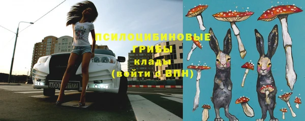 Альфа ПВП Ельня
