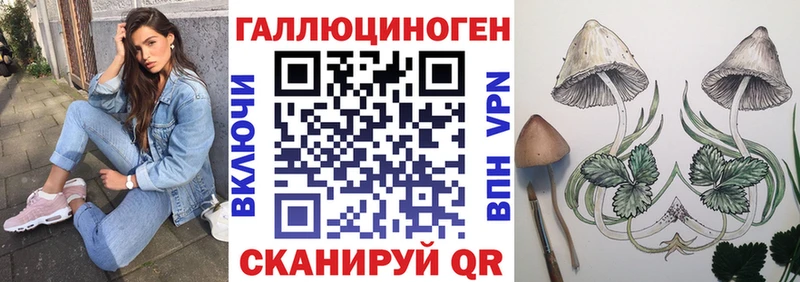 Галлюциногенные грибы GOLDEN TEACHER Жуков
