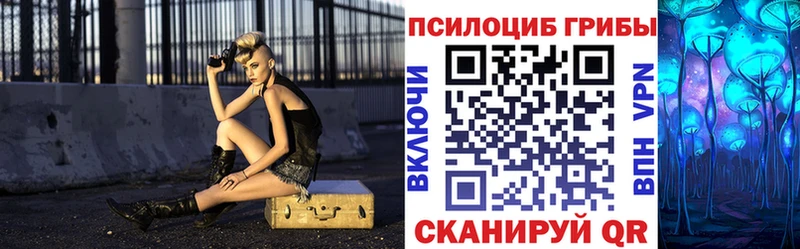 Купить где  Жуков  Псилоцибиновые грибы мухоморы 